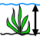 Wuchshhe: