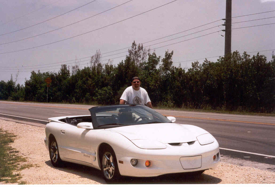 firebird.jpg